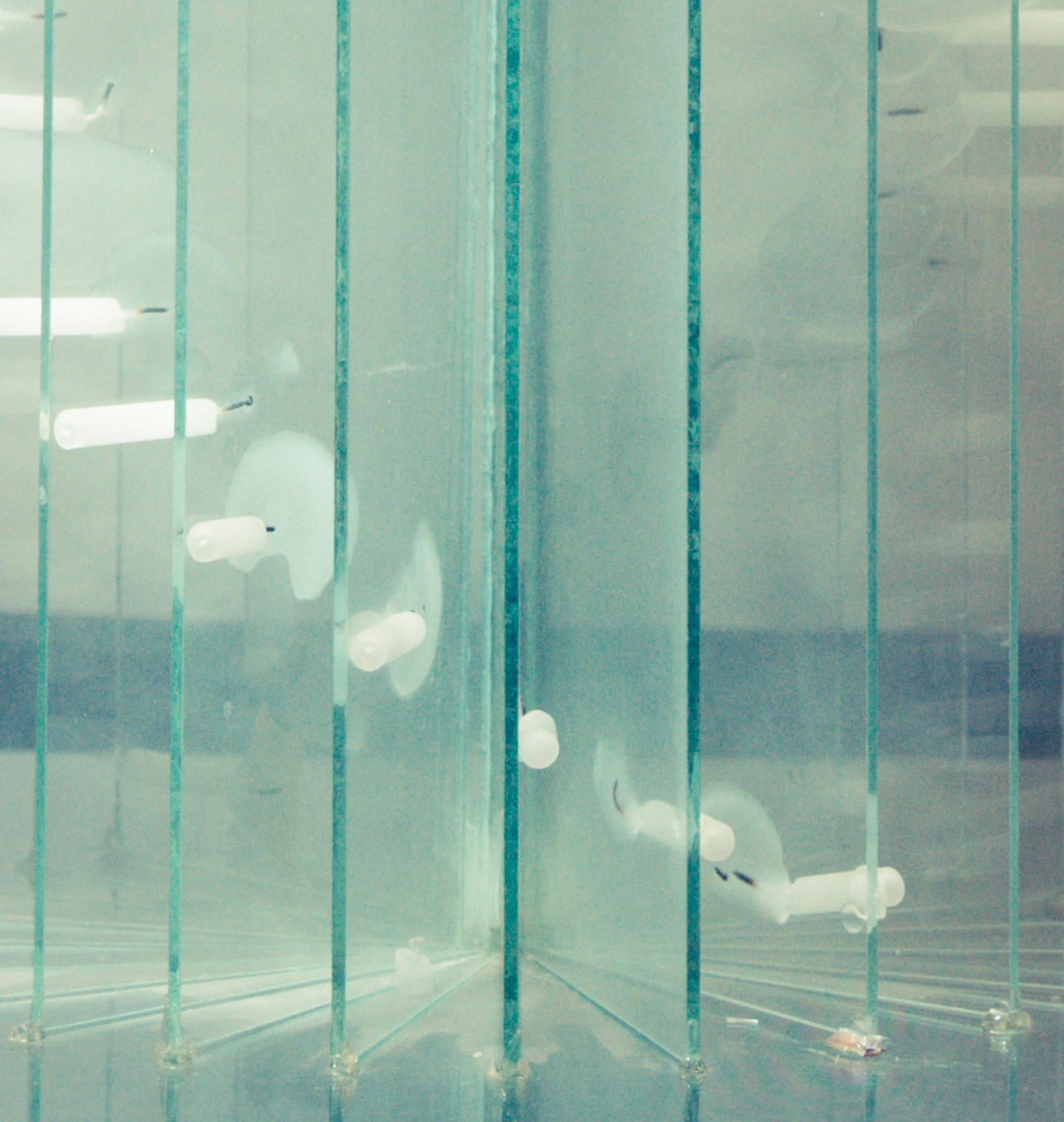 Sabancı University Art Works